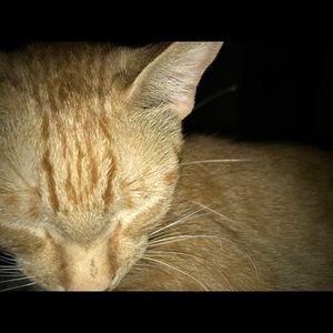 Meet your Posher, Kendall